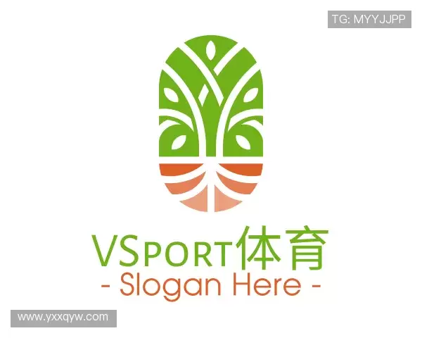 关于VSport